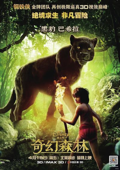 经济专业技术资格/证书